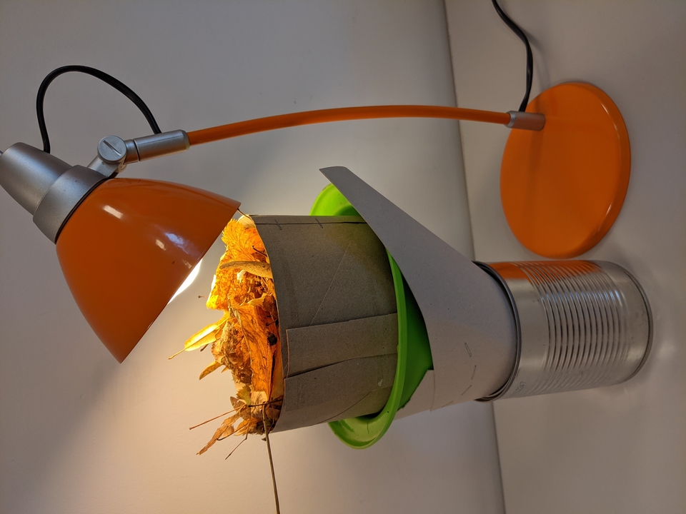 Eine Tischlampe leuchtet auf einen Behälter, der mit trockenen Blättern gefüllt ist. Das ganze Setup besteht aus einer Kombination von Papier, einer grünen Schüssel und einer leeren Dose, die als stabile Basis dient.