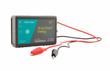 Go Direct® Energie-Sensor (GDX-NRG)