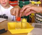 Das Bild zeigt zwei Kinder, die in einem Experimentierbereich mit zwei Zylindern arbeiten, die mit einer klaren Flüssigkeit gefüllt sind. In einem Zylinder befindet sich ein gelbes Objekt und im anderen ein rotes Element, während die Kinder die Objekte mi