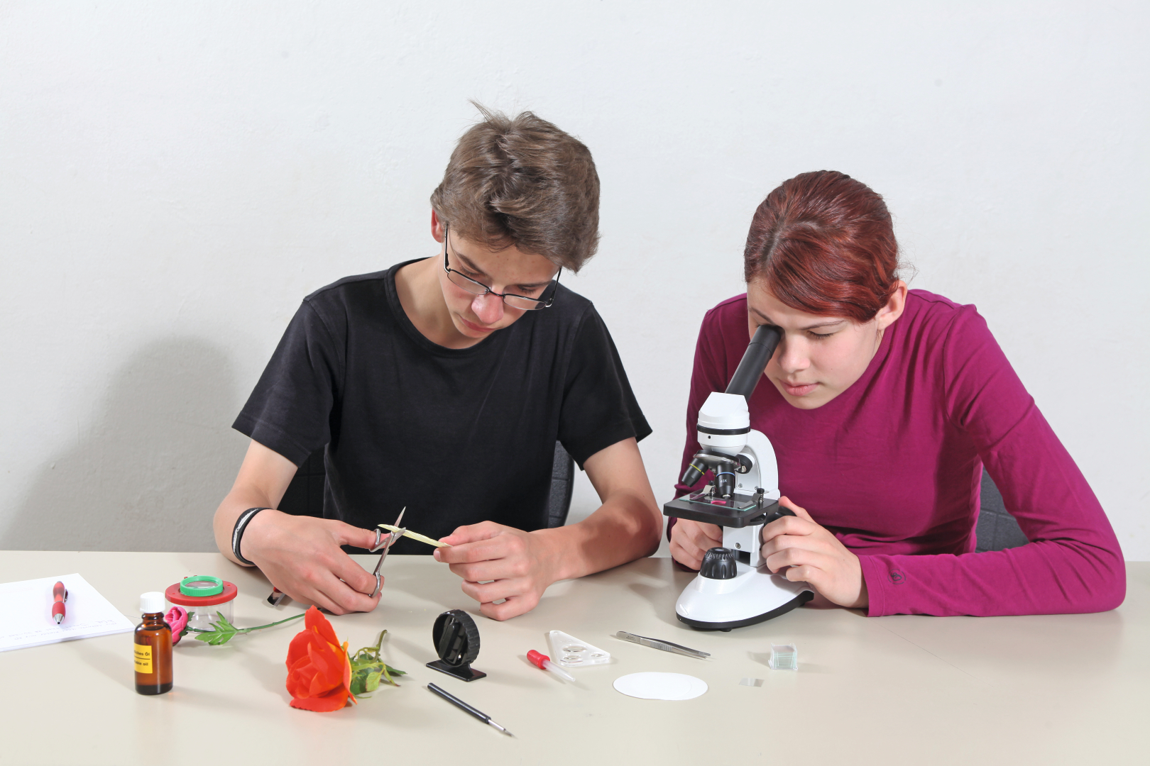 Auf dem Bild sind zwei Jugendliche zu sehen, die an einem Experiment arbeiten. Ein Junge schneidet mit einer Schere Teile einer Blume, während ein Mädchen am Mikroskop arbeitet und eine Probe betrachtet.