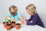 Auf dem Bild arbeiten zwei Kinder an einem Experiment mit Pflanzen. Vor ihnen stehen mehrere Tontöpfe mit Erde und jungen Pflanzen, während sie miteinander über ihre Beobachtungen und Notizen diskutieren.